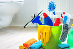 Messie Reinigung Lehrte