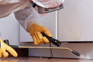 Messie Schädlingsbekämpfung Lehrte